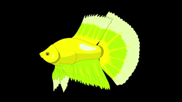 Green Aquarium Cockerel Fish Floats Aquarium Handmade Animation Looped Motion — Stock Video