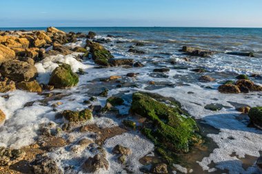 Kıyıda deniz köpüğü ve taşlar