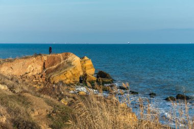 Karadeniz'in kenarında kaya
