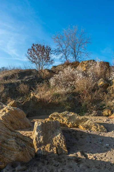 Árboles y piedra caliza en las laderas junto al mar — Foto de Stock