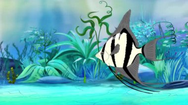 Gümüş Scalare Angelfish bir akvaryumda yüzer. El yapımı animasyon, döngülü hareket grafiği.