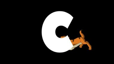 Animasyonlu zoolojik İngiliz alfabesi. Alfa mat hareket grafiği. C harfinin arka planında Karikatür Kedi