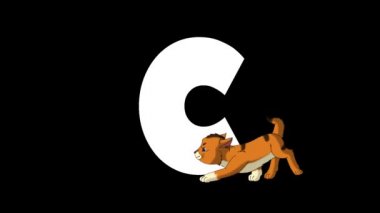 Animasyonlu zoolojik İngiliz alfabesi. Alfa mat hareket grafiği. C harfinin ön planda karikatür kedi