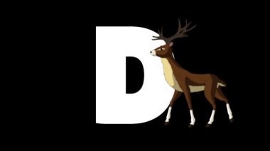 Animasyonlu zoolojik İngiliz alfabesi. Alfa mat hareket grafiği. D harfinin ön planda Karikatür Geyik