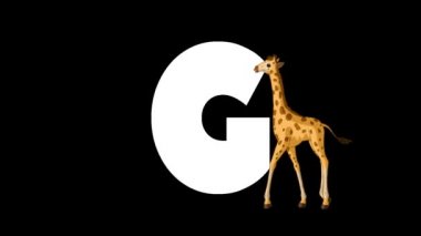 Animasyonlu zoolojik İngiliz alfabesi. Alfa mat hareket grafiği. G harfinin ön planda Karikatür Zürafa