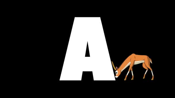 アニメーション動物学英語アルファベット アルファマットモーショングラフィック 文字Aの背景にある漫画のアンテロープ — ストック動画