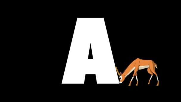 アニメーション動物学英語アルファベット アルファマットモーショングラフィック 文字Aの前景に漫画アンテロープ — ストック動画