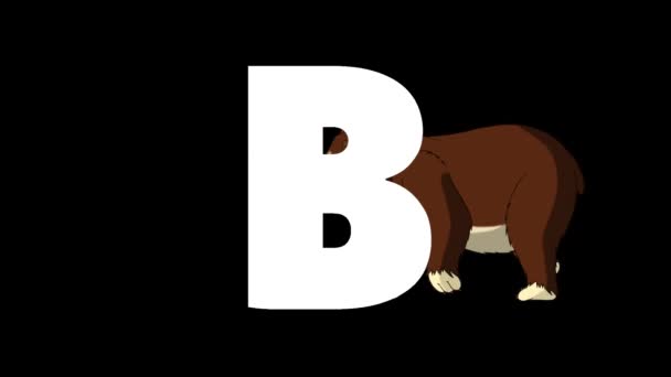 Анимированный Зоологический Английский Хабет Альфа Матовая Графика Карикатурный Медведь Фоне — стоковое видео