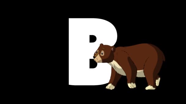 アニメーション動物学英語アルファベット アルファマットモーショングラフィック 文字Bの前景に漫画のクマ — ストック動画