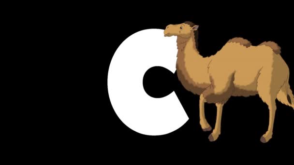 Alfabeto Inglês Zoológico Animado Gráfico Movimento Alfa Mate Cartoon Camel — Vídeo de Stock