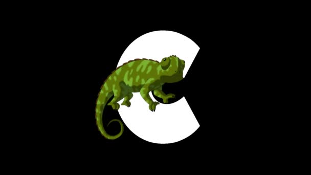 Alfabeto Zoologico Inglese Animato Alpha Matte Motion Graphic Cartoon Chameleon — Video Stock