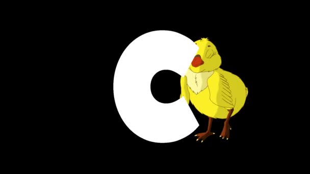 动画动物英语字母表 阿尔法哑光运动图形 背景中的卡通鸡 — 图库视频影像