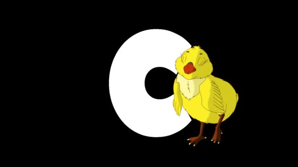 Animated Zoological English Alphabet Alpha Matte Motion Graphic Cartoon Chicken — Stock Video