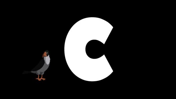 动画动物英语字母表 阿尔法哑光运动图形 背景中的卡通乌鸦 — 图库视频影像