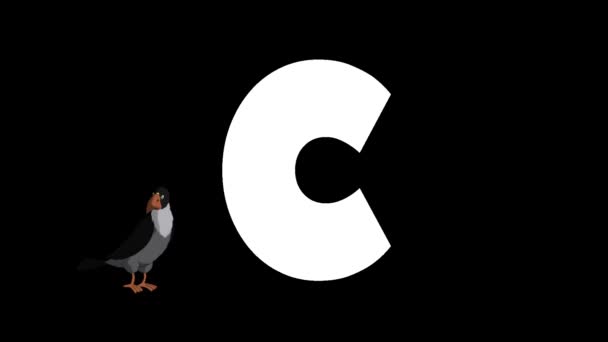 Animasyonlu Zoolojik Ngiliz Alfabesi Alfa Mat Hareket Grafiği Karikatür Crow — Stok video