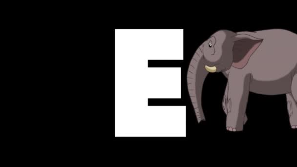 动画动物英语字母表 阿尔法哑光运动图形 背景中的卡通大象 — 图库视频影像
