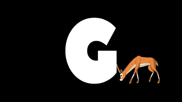 Animiertes Zoologisches Englisches Alphabet Alpha Matte Bewegungsgrafik Karikatur Gazelle Hintergrund — Stockvideo