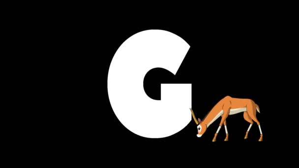 Alfabeto Zoologico Inglese Animato Alpha Matte Motion Graphic Cartoon Gazelle — Video Stock