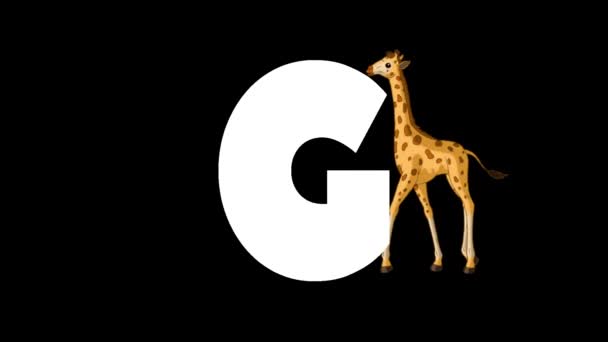 Animerad Zoologiskt Engelskt Alfabet Alfa Matt Rörelse Grafik Tecknad Giraff — Stockvideo