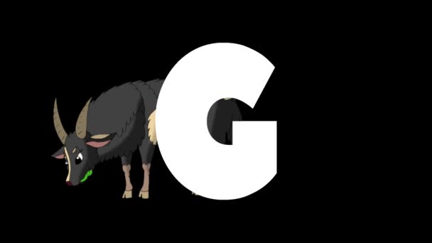 アニメーション動物学英語アルファベット アルファマットモーショングラフィック 文字Gの背景に漫画ヤギ — ストック動画