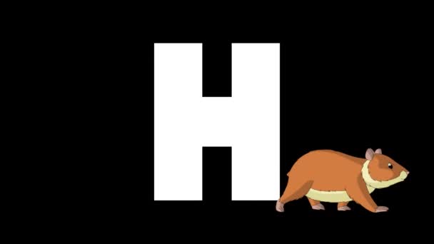 Animasyonlu Zoolojik Ngiliz Alfabesi Alfa Mat Hareket Grafiği Karikatür Hamster — Stok video