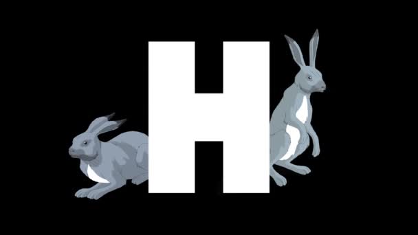 Animated Zoological English Alphabet Alpha Matte Motion Graphic Cartoon Hare — Stock Video