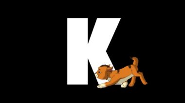 Animasyonlu zoolojik İngiliz alfabesi. Alfa mat hareket grafiği. K harfinin ön planda karikatür Kitten