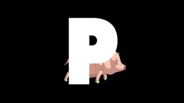 Animasyonlu zoolojik İngiliz alfabesi. Alfa mat hareket grafiği. Karikatür Pig bir mektup P bir arka planda