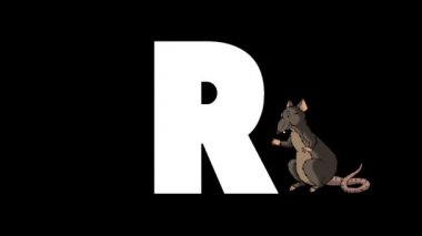 Animasyonlu zoolojik İngiliz alfabesi. Alfa mat hareket grafiği. R harfinin arka planında Karikatür Rat