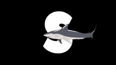Animasyonlu zoolojik İngiliz alfabesi. Alfa mat hareket grafiği. Karikatür Shark bir mektup S ön planda