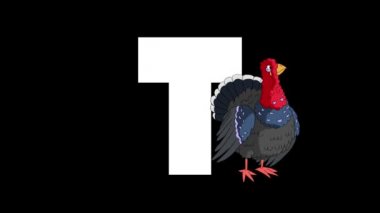 Animasyonlu zoolojik İngiliz alfabesi. Alfa mat hareket grafiği. Karikatür Türkiye bir harf T ön planda