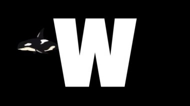 Animasyonlu zoolojik İngiliz alfabesi. Alfa mat hareket grafiği. W harfinin arka planında Karikatür Balina