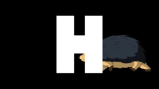 Animated Zoological English Alphabet Alpha Matte Motion Graphic Hedgehog Background — Stock Video