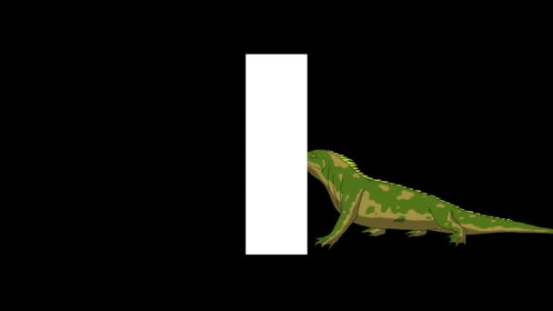 Animované Zoologické Anglické Abecedy Alfa Matný Pohyb Grafiky Kreslený Iguana — Stock video