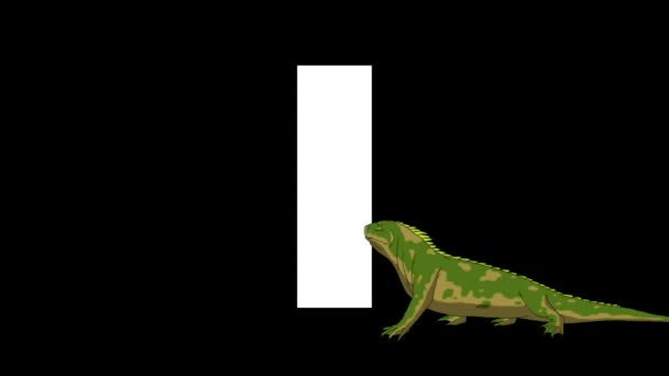Animerad Zoologiskt Engelskt Alfabet Alfa Matt Rörelse Grafik Tecknad Iguana — Stockvideo