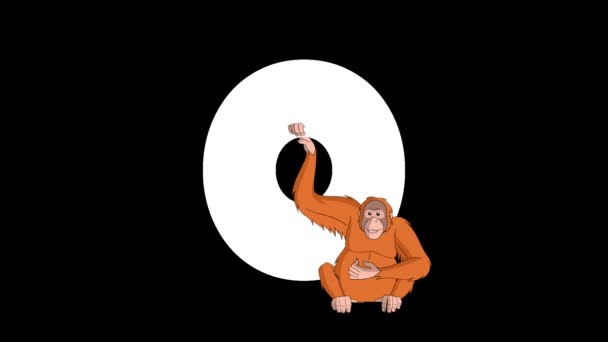 Animated Zoological English Alphabet Alpha Matte Motion Graphic Cartoon Orangutan — Stock Video