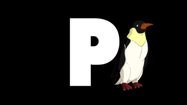 Animiertes Zoologisches Englisches Alphabet Alpha Matte Bewegungsgrafik Cartoon Pinguin Hintergrund — Stockvideo