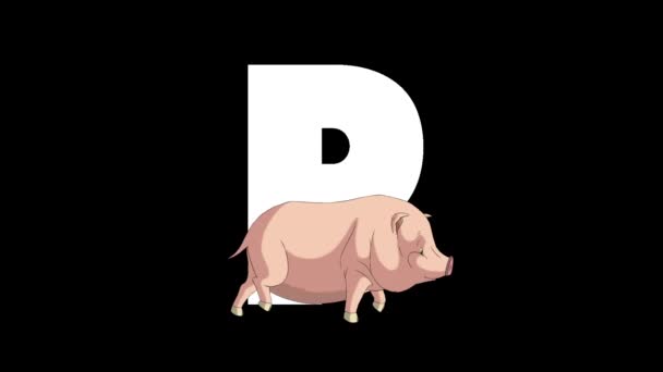アニメーション動物学英語アルファベット アルファマットモーショングラフィック 文字Pの前景に漫画の豚 — ストック動画