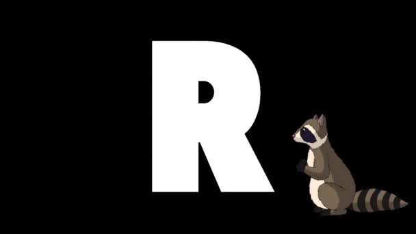 アニメーション動物学英語アルファベット アルファマットモーショングラフィック 文字Rの背景に漫画のアライグマ — ストック動画