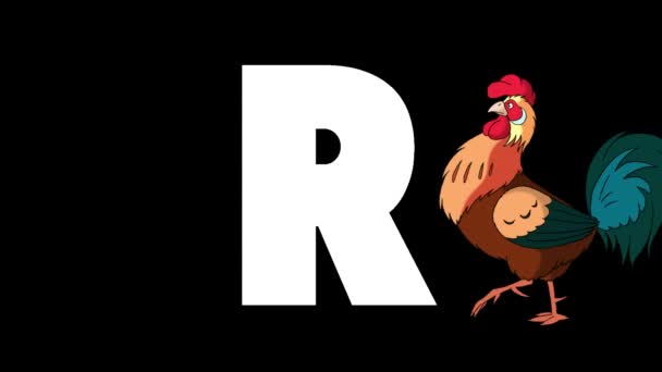 Animated Zoological English Alphabet Alpha Matte Motion Graphic Cartoon Rooster — Stock Video