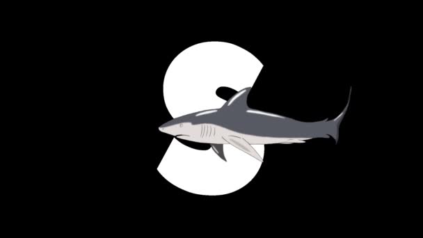 アニメーション動物学英語アルファベット アルファマットモーショングラフィック 文字Sの前景に漫画のサメ — ストック動画