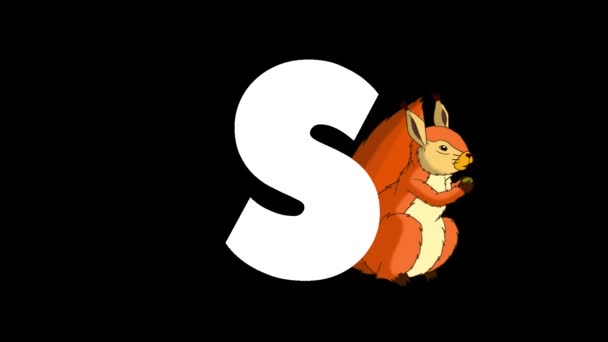 アニメーション動物学英語アルファベット アルファマットモーショングラフィック 文字Sの背景に漫画リス — ストック動画