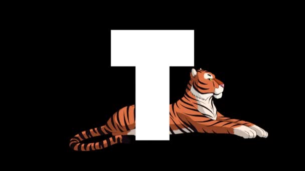 Animiertes Zoologisches Englisches Alphabet Alpha Matte Bewegungsgrafik Karikatur Tiger Hintergrund — Stockvideo