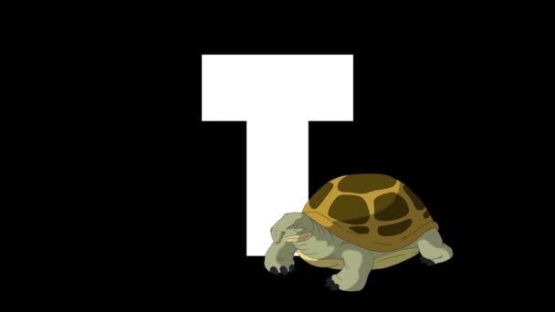 动画动物英语字母表 阿尔法哑光运动图形 前景中的卡通龟 — 图库视频影像