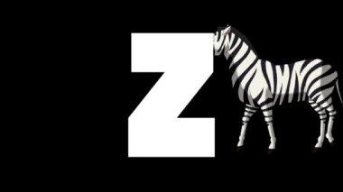 Animasyonlu zoolojik İngiliz alfabesi. Alfa mat hareket grafiği. Z harfinin arka planında Karikatür Zebra