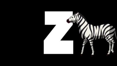 Animasyonlu zoolojik İngiliz alfabesi. Alfa mat hareket grafiği. Karikatür Zebra bir mektup Z ön planda