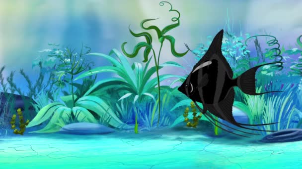 Black Scalare Angelfish Swims Aquarium Handmade Animation Looped Motion Graphic — Stock Video