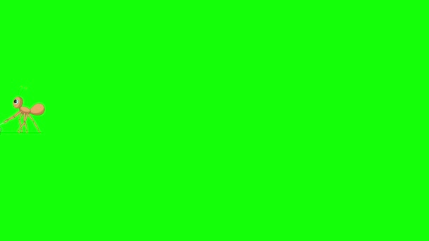 Ant Carries Green Leaf Animated Motion Graphic Green Screen Chroma — Stock Video