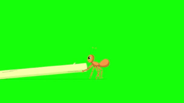 Μυρμήγκι Τραβάει Ένα Στέλεχος Χόρτου Κινούμενο Γραφικό Κίνησης Κλειδί Πράσινης — Αρχείο Βίντεο