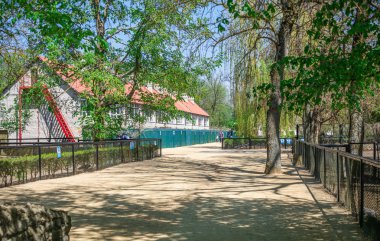 Askania-Nova topraklarında alleys